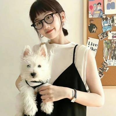 主妇的战争